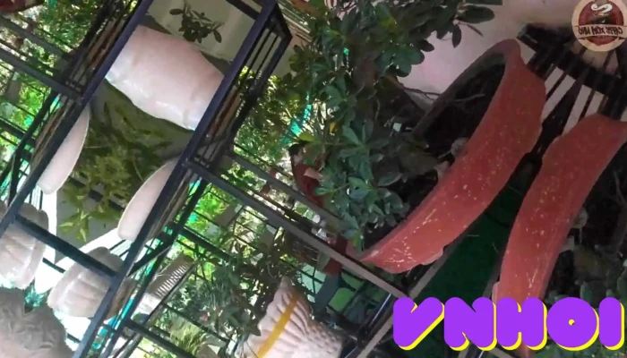 Tt Cai Be Video - Tiền Giang