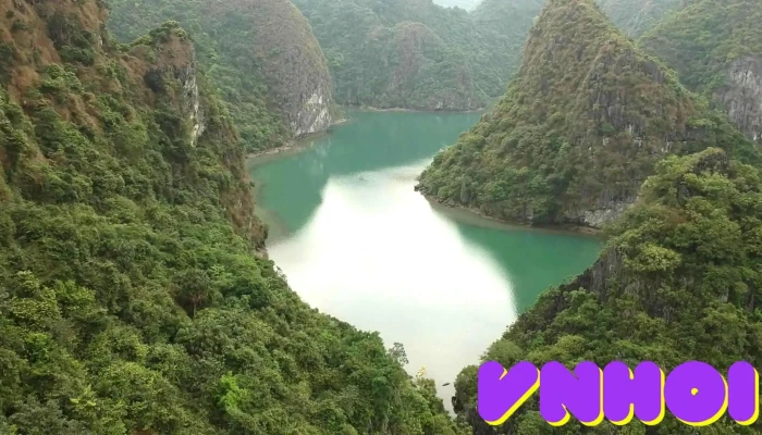 Tt Cat Ba Video - Hải Phòng
