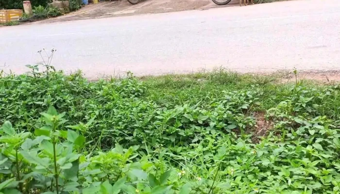 Tt Dinh Lap Tat Ca - Lạng Sơn