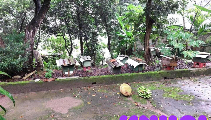 tt. Kỳ Sơn - Hòa Bình