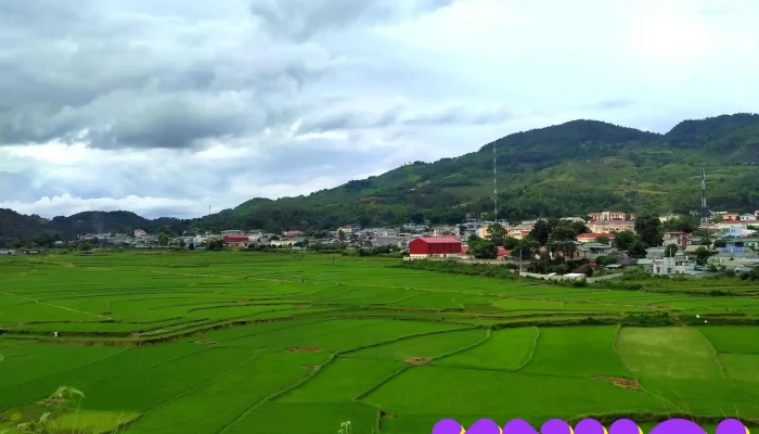 Tt Tua Chua Tat Ca - Điện Biên