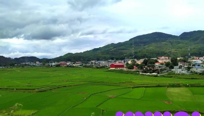 tt. Tủa Chùa - Điện Biên
