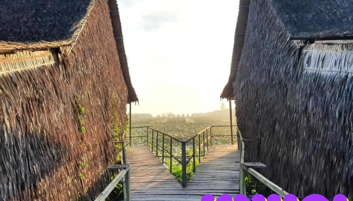 Tư Cá Linh Homestay - Phú Thọ