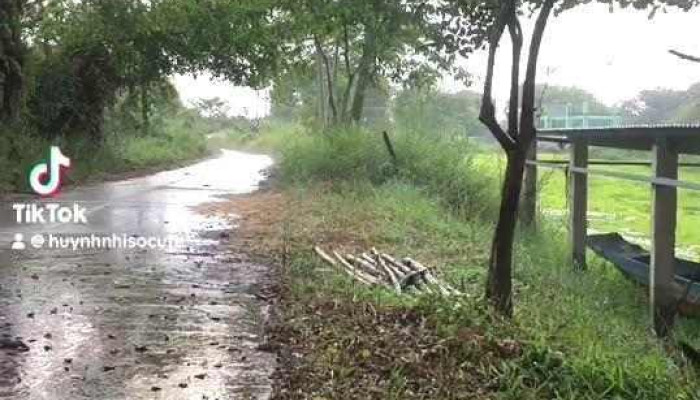 U Minh Thuong Dia Diem Ly Tuong Cua Chu So Huu - Kiên Giang