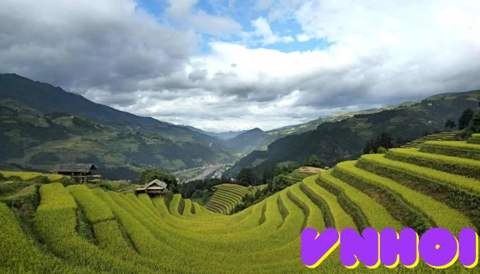 Vong Lua Mong Ngua Mu Cang Chai Nui - Yên Bái