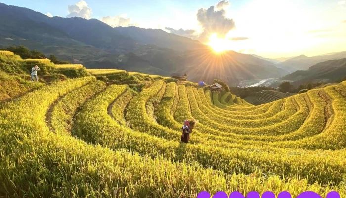 Vong Lua Mong Ngua Mu Cang Chai Tat Ca - Yên Bái