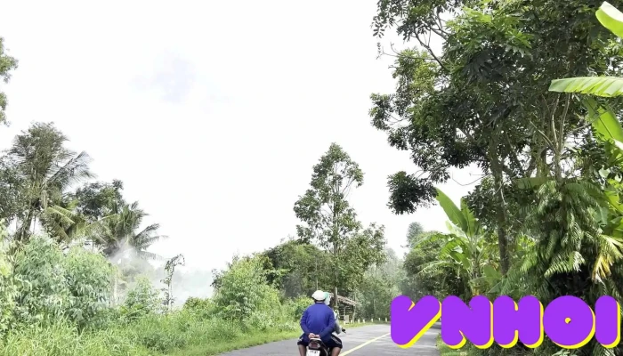 Vong Xoay Khanh An Video - Cà Mau