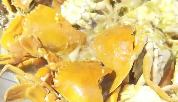 Vua Hai San Tham   Kakaocaeneoltamssine Haesanmul Video - Khánh Hòa