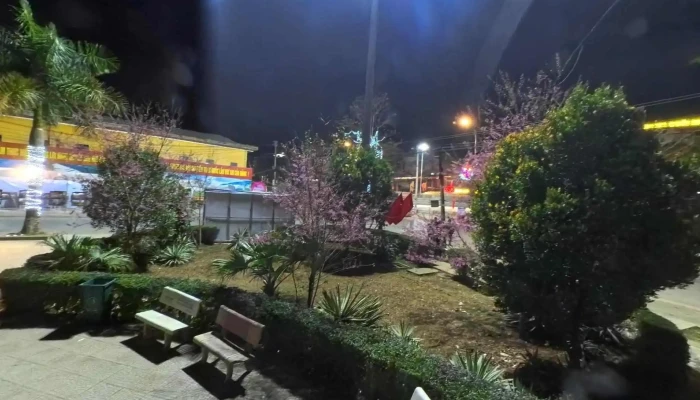 Vuon Hoa Mu Cang Chai Che Do Xem Pho Va 360deg - Yên Bái