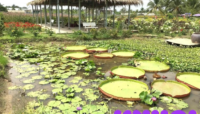 Vuon Hoa Thach Thao Tat Ca - Tiền Giang