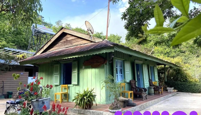 Vuon Hong Le Phuc Cua Khach Tro - Lâm Đồng