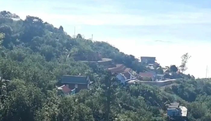 Vuon Hong Le Phuc Video - Lâm Đồng