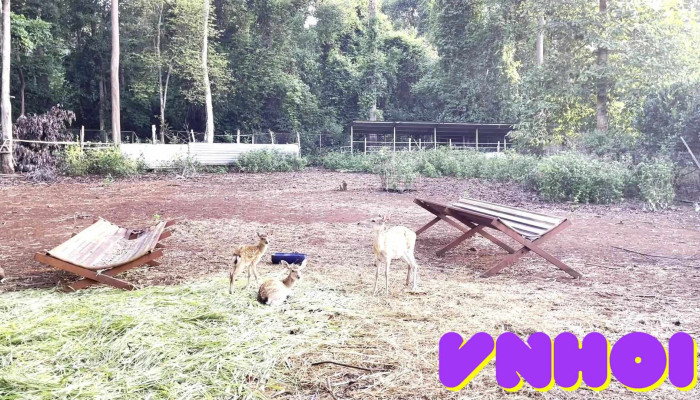 Vuon Quoc Gia Bu Gia Map Moi Nhat - Bình Phước