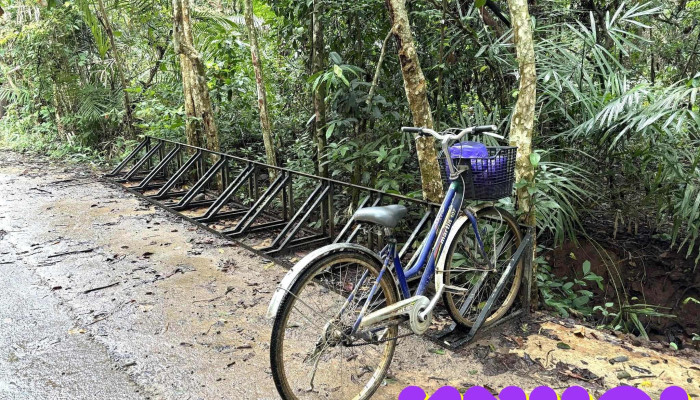 Vuon Quoc Gia Cat Tien Duong Mon - Đồng Nai