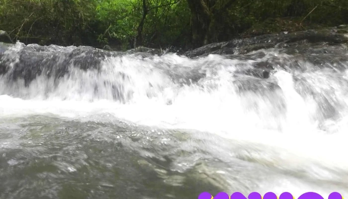 Vuon Quoc Gia Phuoc Binh Cua Chu So Huu - Ninh Thuận