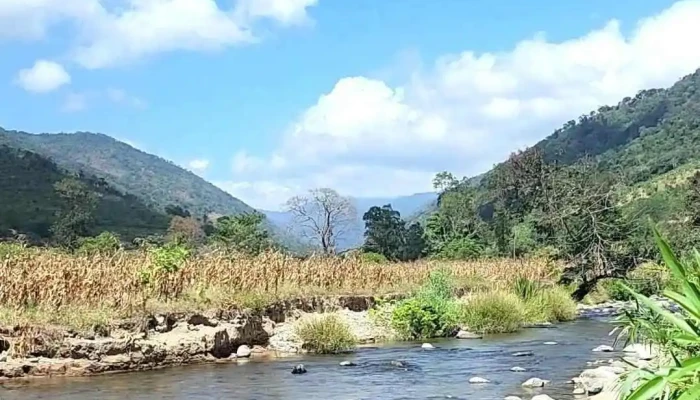 Vuon Quoc Gia Phuoc Binh Moi Nhat - Ninh Thuận