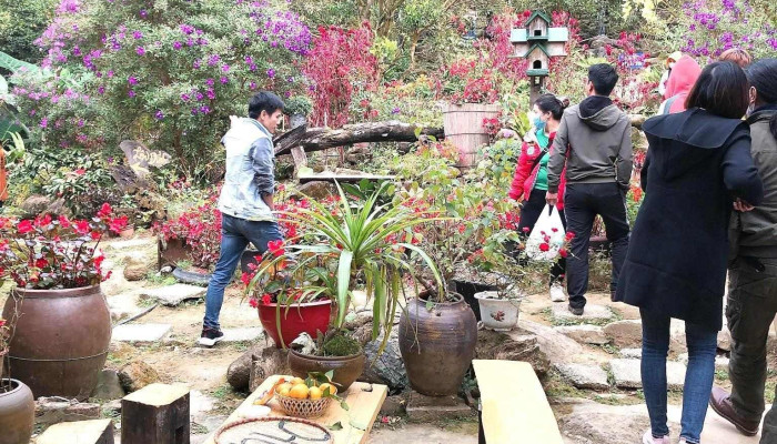 Vuon Quyt Hang Hu Bau Khong Khi - Lạng Sơn