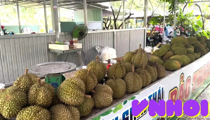 Vuon Trai Cay Bao Thach Tat Ca - Bến Tre