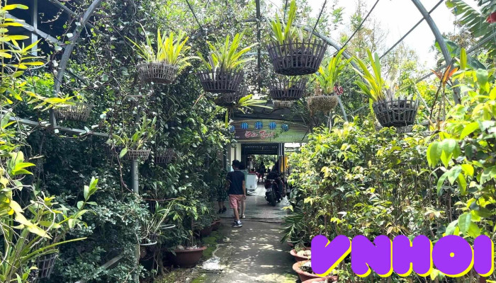 Vuon Trai Cay Bao Thach Video - Bến Tre