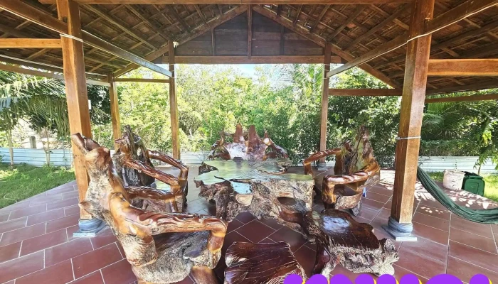 Vy Vy Farm -  Moi Nhat - Bình Thuận