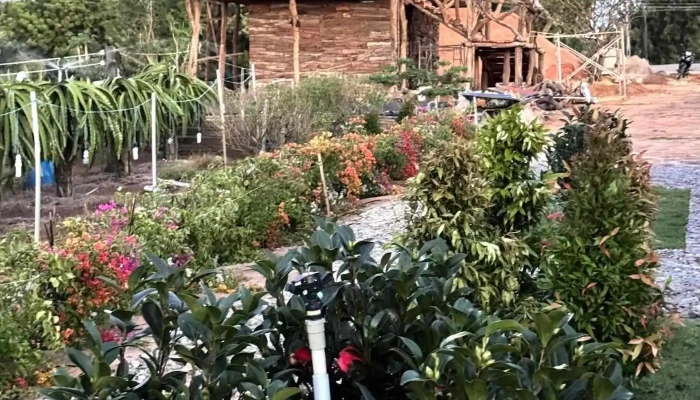 Vy Vy Farm -  Ngoai That - Bình Thuận