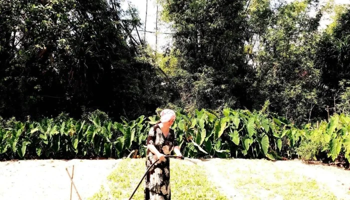 Vườn bí đao khổng lồ Bình Long - 3