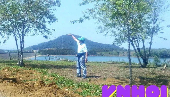 Vườn hoa anh đào Vĩnh Sơn - Đt637