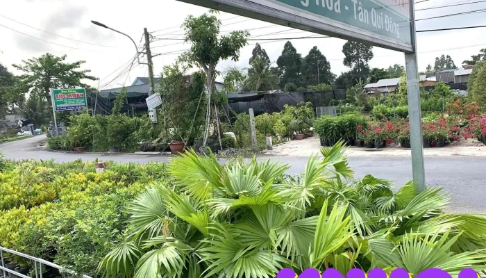 Vườn Kiểng Lộc Xuân - Tân Qúy Đông