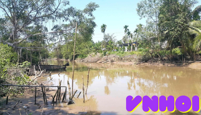 Vườn Mận Hoà Thành - Lai Vung