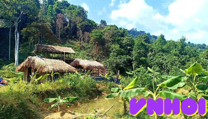 Vườn Rừng Thảo Dược Khai Tâm Lâm Bình - Tuyên Quang