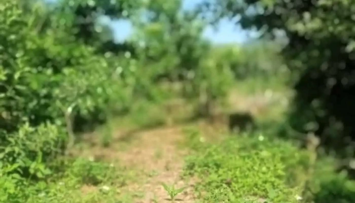 X Chi Lang Tat Ca - Lạng Sơn