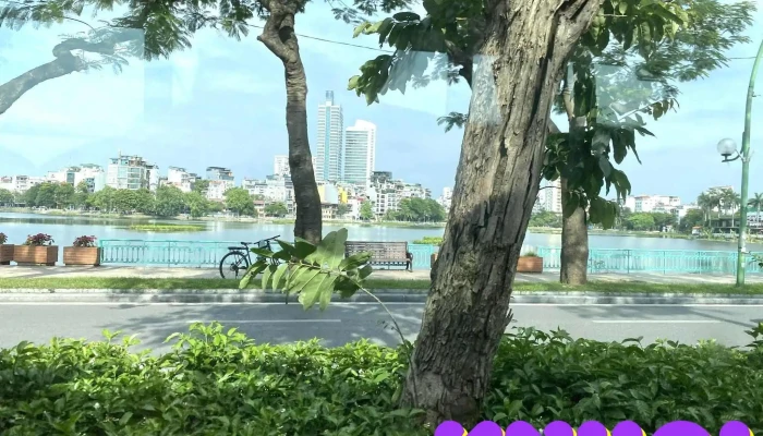 Xe 2 tầng Hà Nội - Hop on hop off bus Vietnam Sightseeing - Phan Chu Trinh