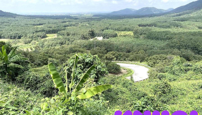 Đèo Tà Pứa - Bình Thuận