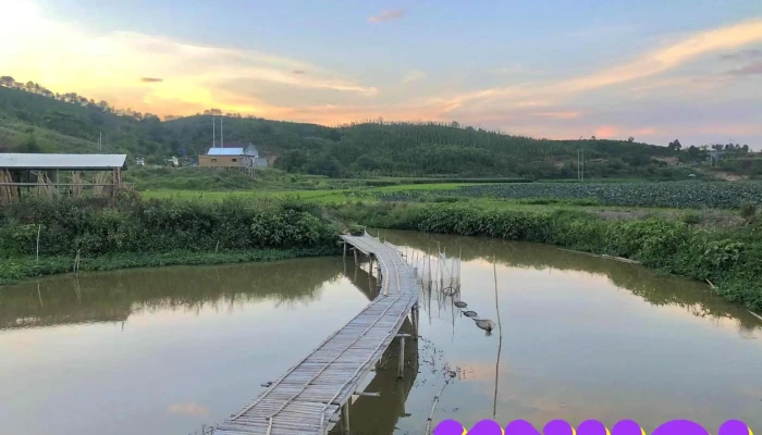 Điểm check in Cánh Đồng Hoa - Đắk Nông - Krông Nô