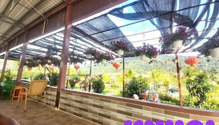 Điểm du lịch Sơn Long Field - Bình Phước