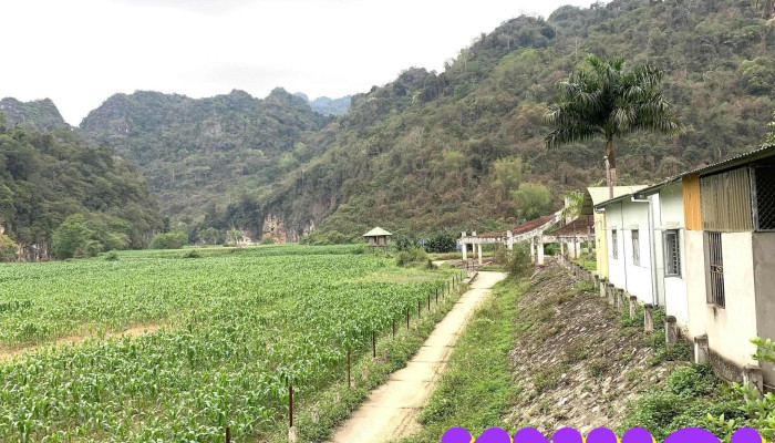 Điểm Thu Vé Tham Quan Ba Bể - Ql279
