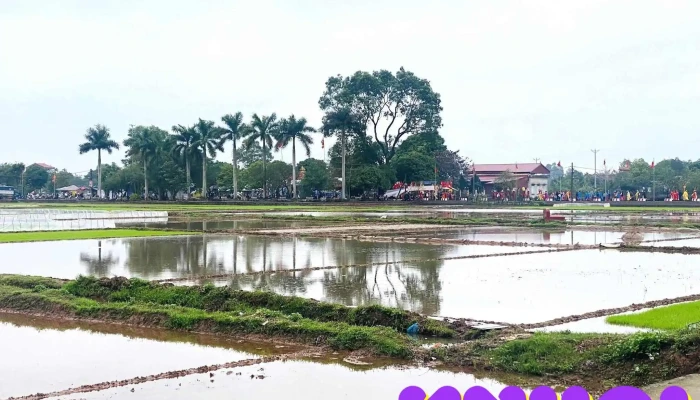 Đình Hoan Ái - Tân Việt