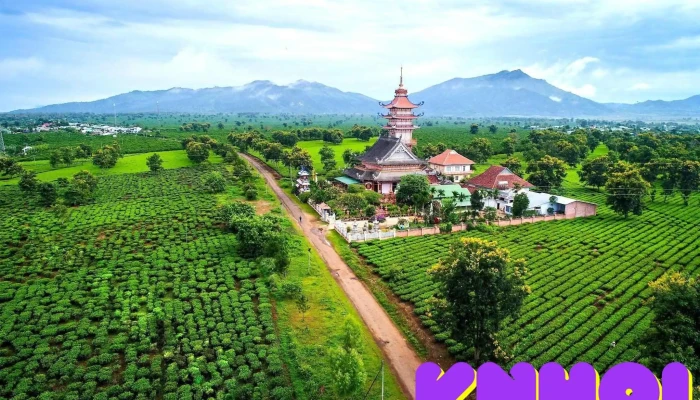 Đường hàng thông cổ thụ - Unnamed Road