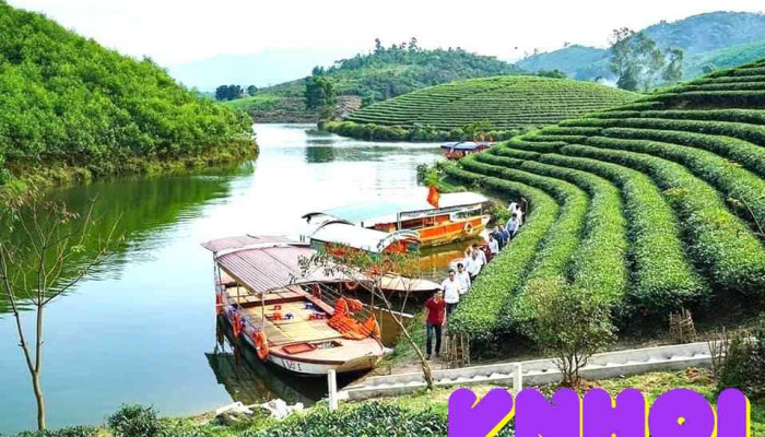 Đảo Chè Thanh Chương - Điếu Cày Travel - Nghệ An