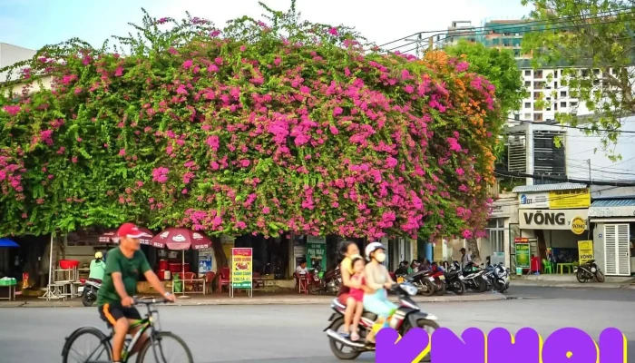 Địa điểm ngắm hoàng hôn - Bình Thuận