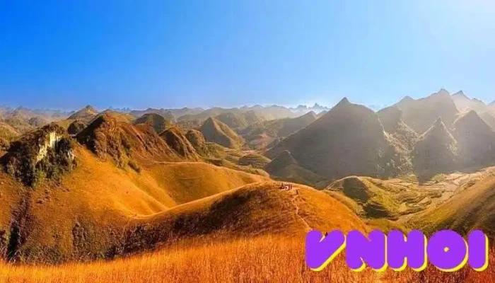 Đồi Cỏ Cháy Vinh Quý - Cao Bằng