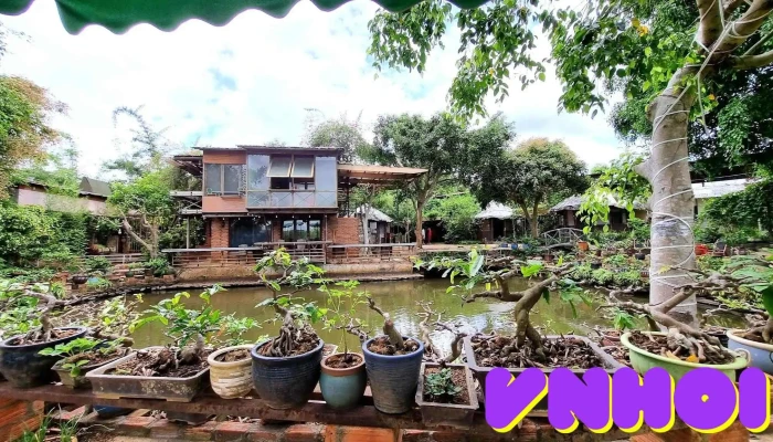 Đồi sim - Sơn Lang