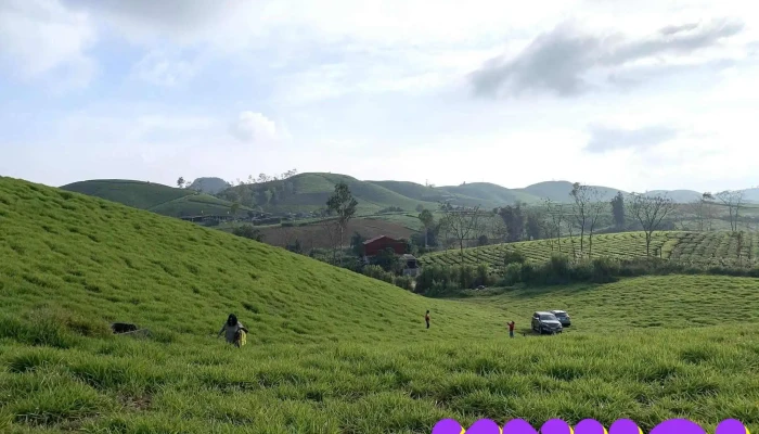 Đồng cỏ Thảo nguyên Mộc Châu - Unnamed Road